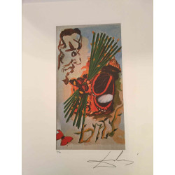 Salvador Dali Tarot serie Lithografie off set 50x70 cm gecertificeerd