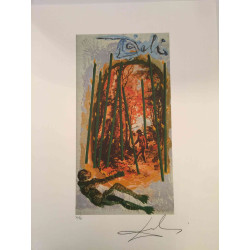 Salvador Dali Tarot serie Lithografie off set 50x70 cm gecertificeerd