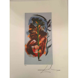 Salvador Dali Serie Tarot Litografía off set 50x70 cm certificada
