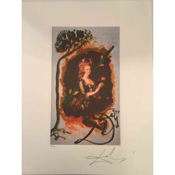 Salvador Dali Tarot serie Lithografie off set 50x70 cm gecertificeerd