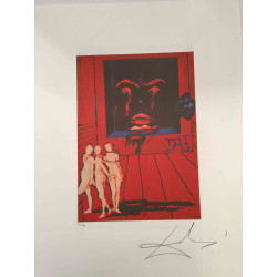 Salvador Dali Tarot serie Lithografie off set 50x70 cm gecertificeerd