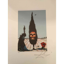 Salvador Dali Serie Tarot Litografía off set 50x70 cm certificada