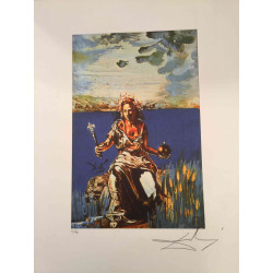 Salvador Dali Tarot serie Lithografie off set 50x70 cm gecertificeerd