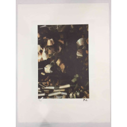 Fernand Leger Lithographie Offset 50x65 cm zertifiziert