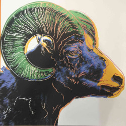 Andy Warhol Ronald Feldman Fine Art cm 96x96 Endangered Species