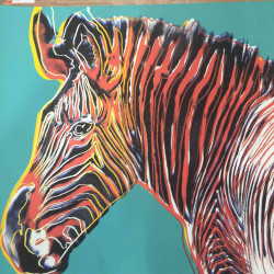 Andy Warhol Ronald Feldman Fine Art cm 96x96 Endangered Species