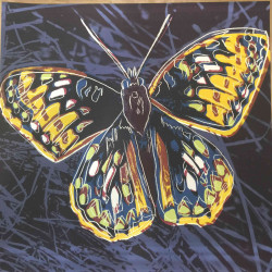 Andy Warhol Ronald Feldman Fine Art cm 96x96 Endangered Species