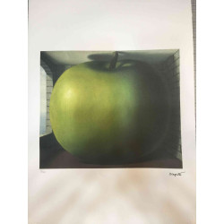 Rene Magritte Litografia off set 50x70 cm certificat