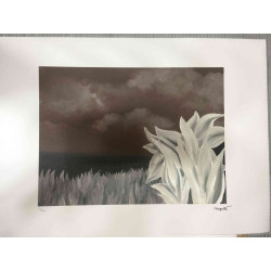Rene Magritte Lithografie off set 50x70 cm gecertificeerd