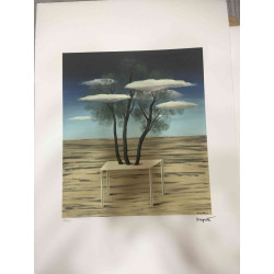 Rene Magritte Litografia off set 50x70 cm certificat
