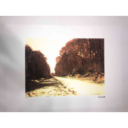 Zestaw litografii Claude'a Moneta o wymiarach 50x70 cm
