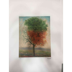 Rene Magritte Lithografie off set 50x70 cm gecertificeerd