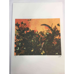 Renato Guttuso Litografia offset 50x70 cm certificat