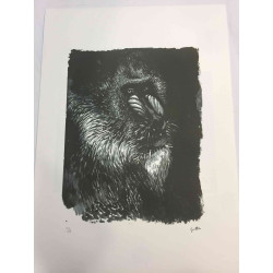 Renato Guttuso Offsetlithografie 50x70 cm gecertificeerd