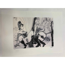 Picasso Litografía offset 50x70 cm Edición Museo