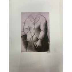 Picasso Lithografie off set 50x70 cm Museumeditie