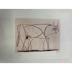 Picasso Litografía offset 50x70 cm Edición Museo