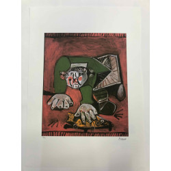 Picasso Lithografie off set 50x70 cm Museumeditie