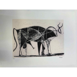 Picasso Litografía offset 50x70 cm Edición Museo