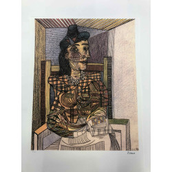 Picasso Lithografie off set 50x70 cm Museumeditie