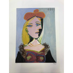 Picasso Lithografie off set 50x70 cm Museumeditie