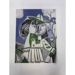 Picasso Lithografie off set 50x70 cm Museumeditie