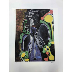 Picasso Litografía offset 50x70 cm Edición Museo