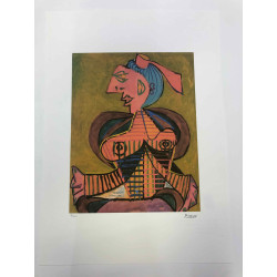 Picasso Lithografie off set 50x70 cm Museumeditie
