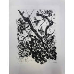 Picasso Litografía offset 50x70 cm Edición Museo