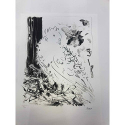 Picasso Lithografie off set 50x70 cm Museumeditie