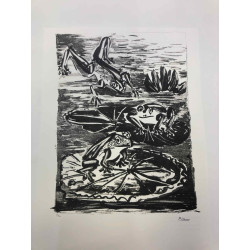 Picasso Litografía offset 50x70 cm Edición Museo
