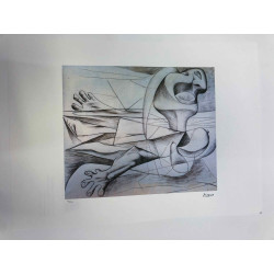 Picasso Litografía offset 50x70 cm Edición Museo