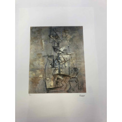 Picasso Lithografie off set 50x70 cm Museumeditie