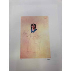Picasso Lithografie off set 50x70 cm Museumeditie