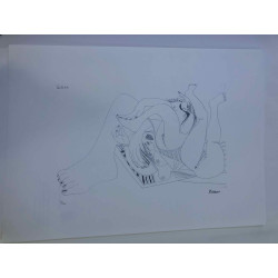 Picasso Lithografie off set 50x70 cm Museumeditie