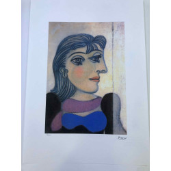 Picasso Lithografie off set 50x70 cm Museumeditie