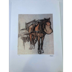 Picasso Litografía offset 50x70 cm Edición Museo