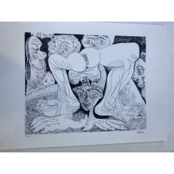 Picasso Lithografie off set 50x70 cm Museumeditie