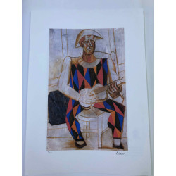 Picasso Litografía offset 50x70 cm Edición Museo
