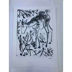 Picasso Litografía offset 50x70 cm Edición Museo