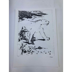 Picasso Litografía offset 50x70 cm Edición Museo
