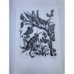 Picasso Litografía offset 50x70 cm Edición Museo