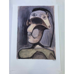 Picasso Litografía offset 50x70 cm Edición Museo