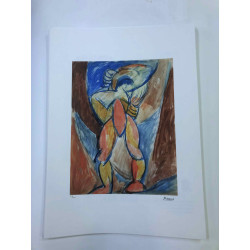Picasso Litografía offset 50x70 cm Edición Museo