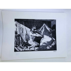 Picasso Litografía offset 50x70 cm Edición Museo