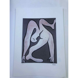Picasso Lithografie off set 50x70 cm Museumeditie