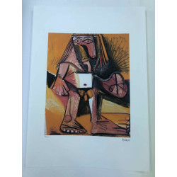 Picasso Lithographie hors set 50x70 cm Edition Musée