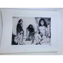 Picasso Lithografie off set 50x70 cm Museumeditie