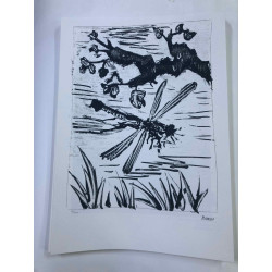 Picasso Litografia off set 50x70 cm edizione  Museo