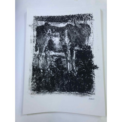 Picasso Lithographie hors set 50x70 cm Edition Musée